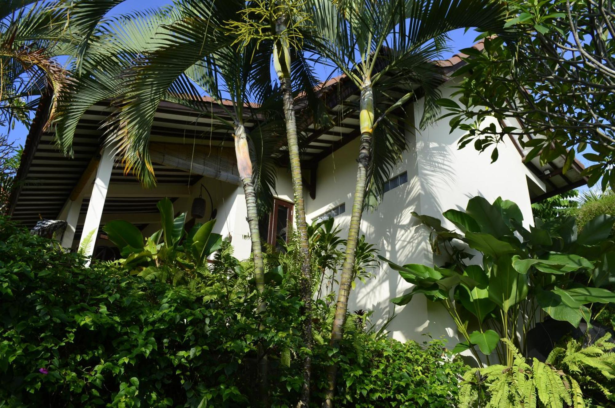 Alamanda Lovina Resort Eksteriør billede