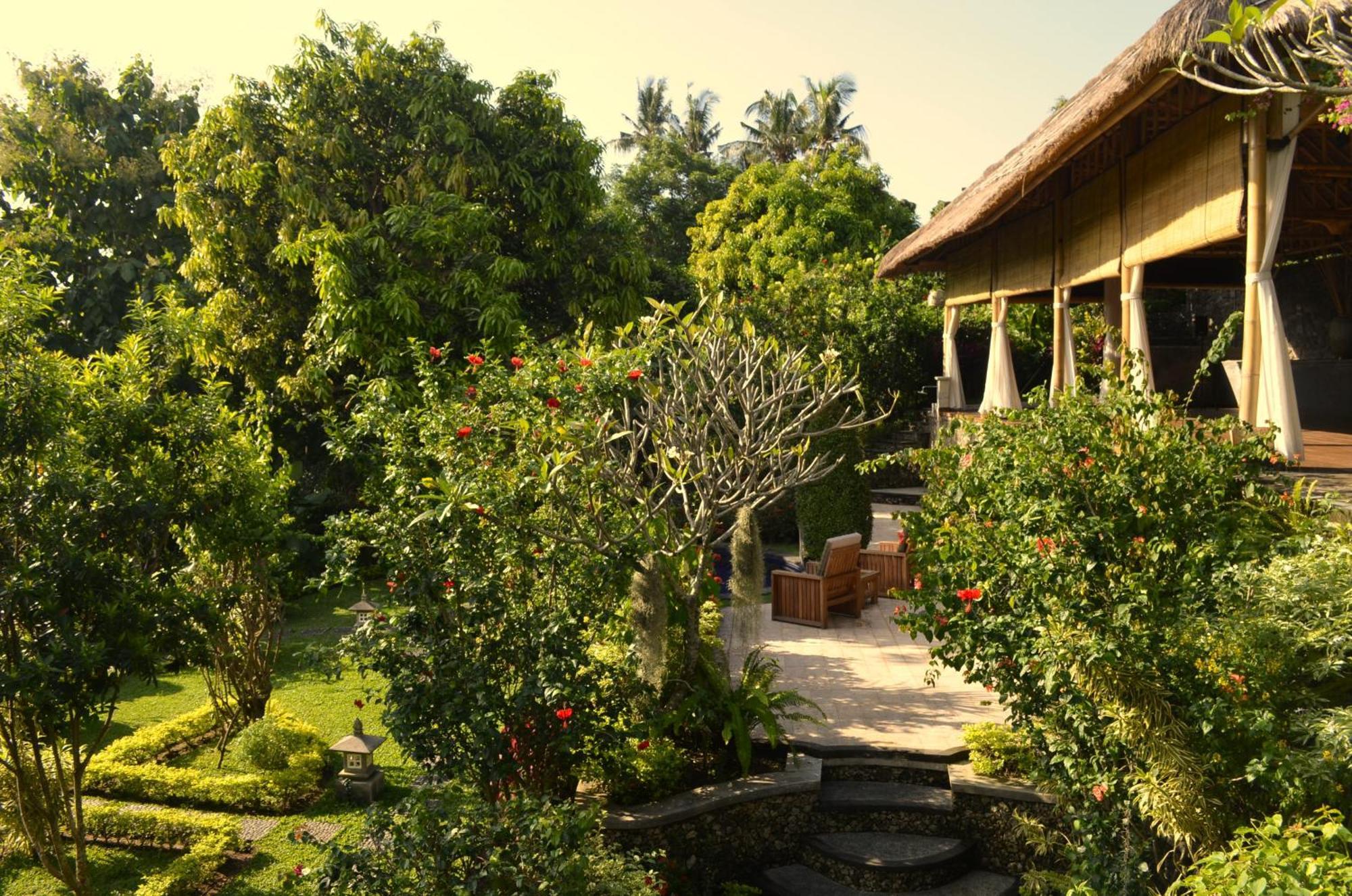Alamanda Lovina Resort Eksteriør billede